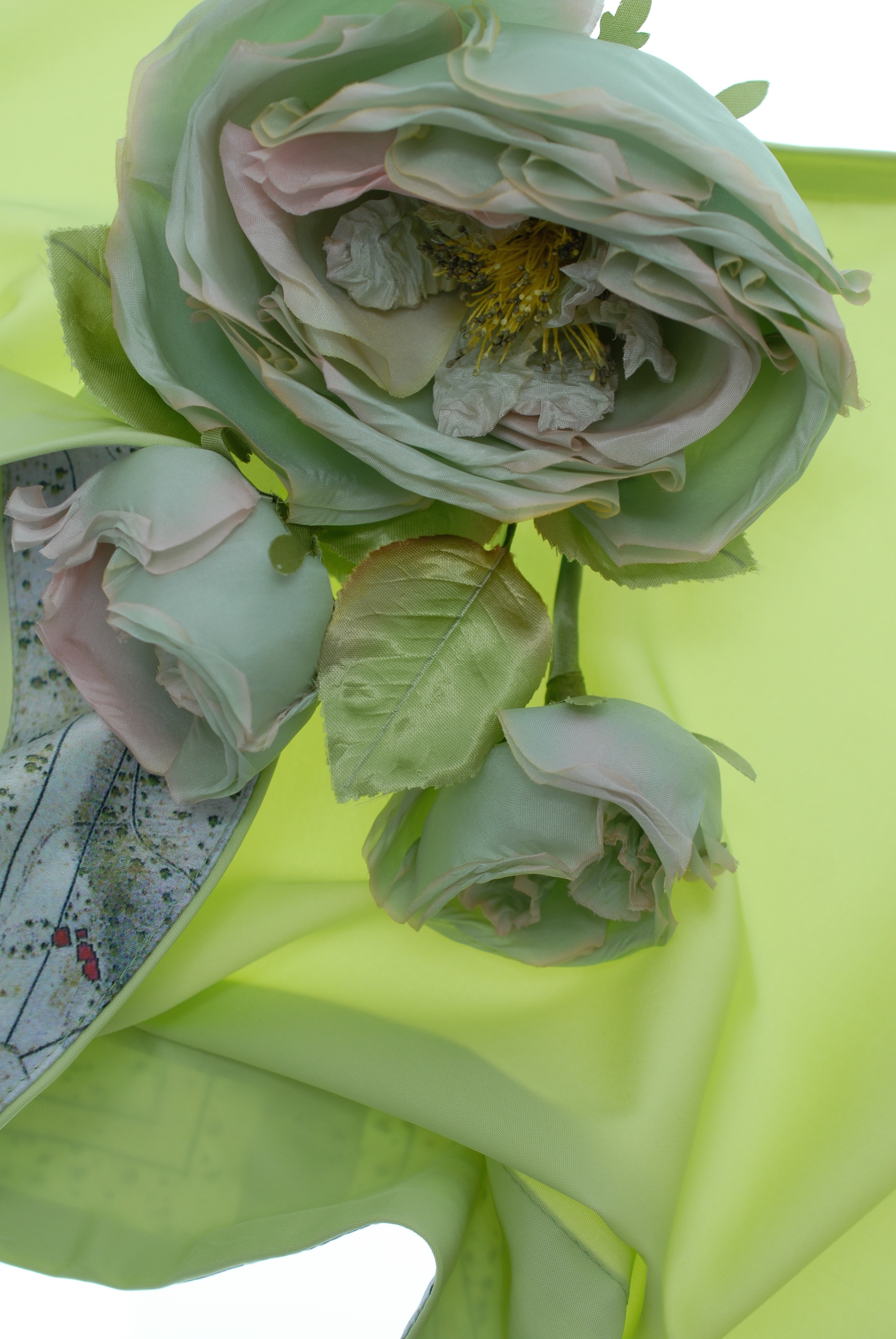 Rosekollektion