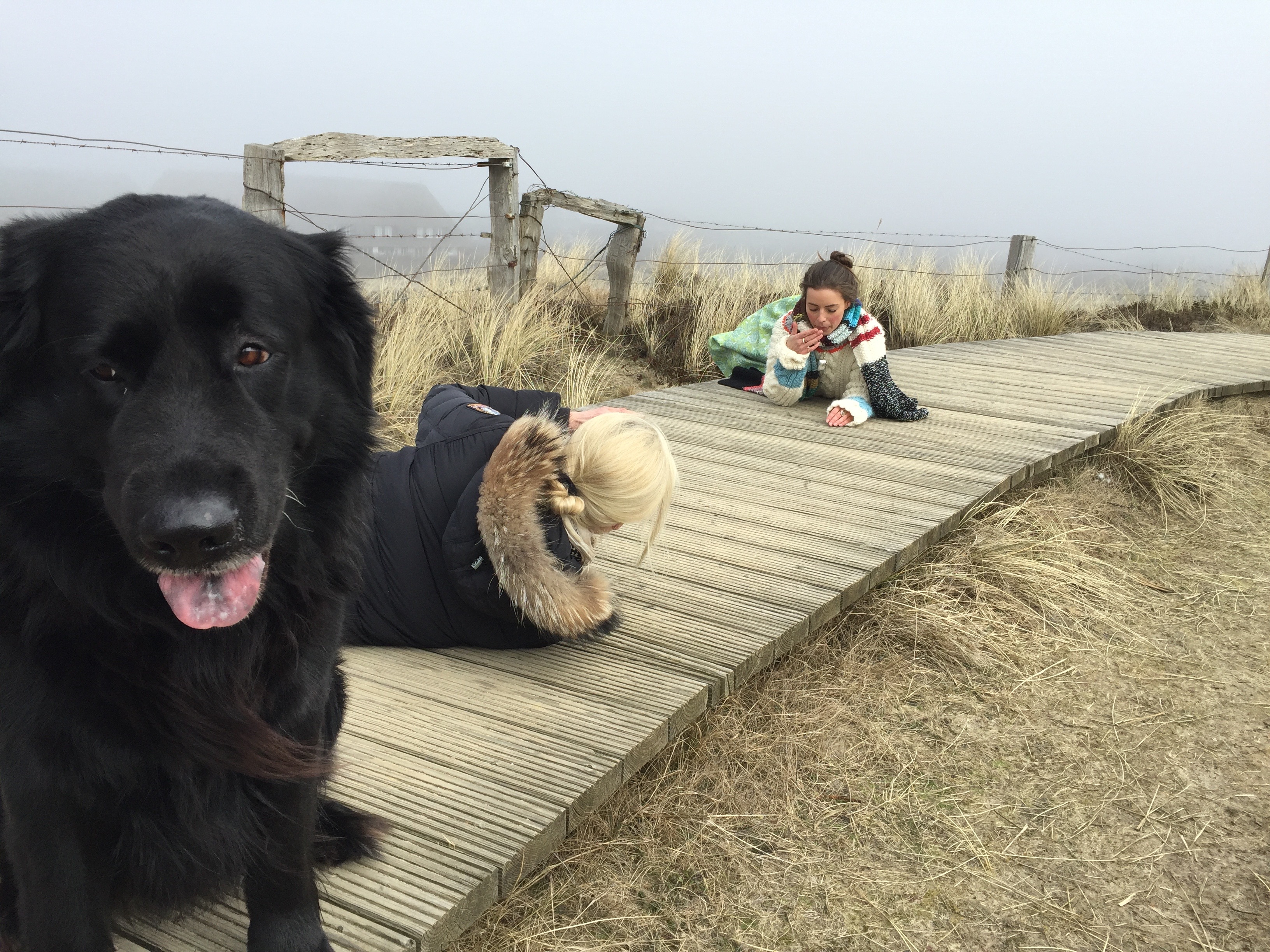 Fotoshooting with Dog