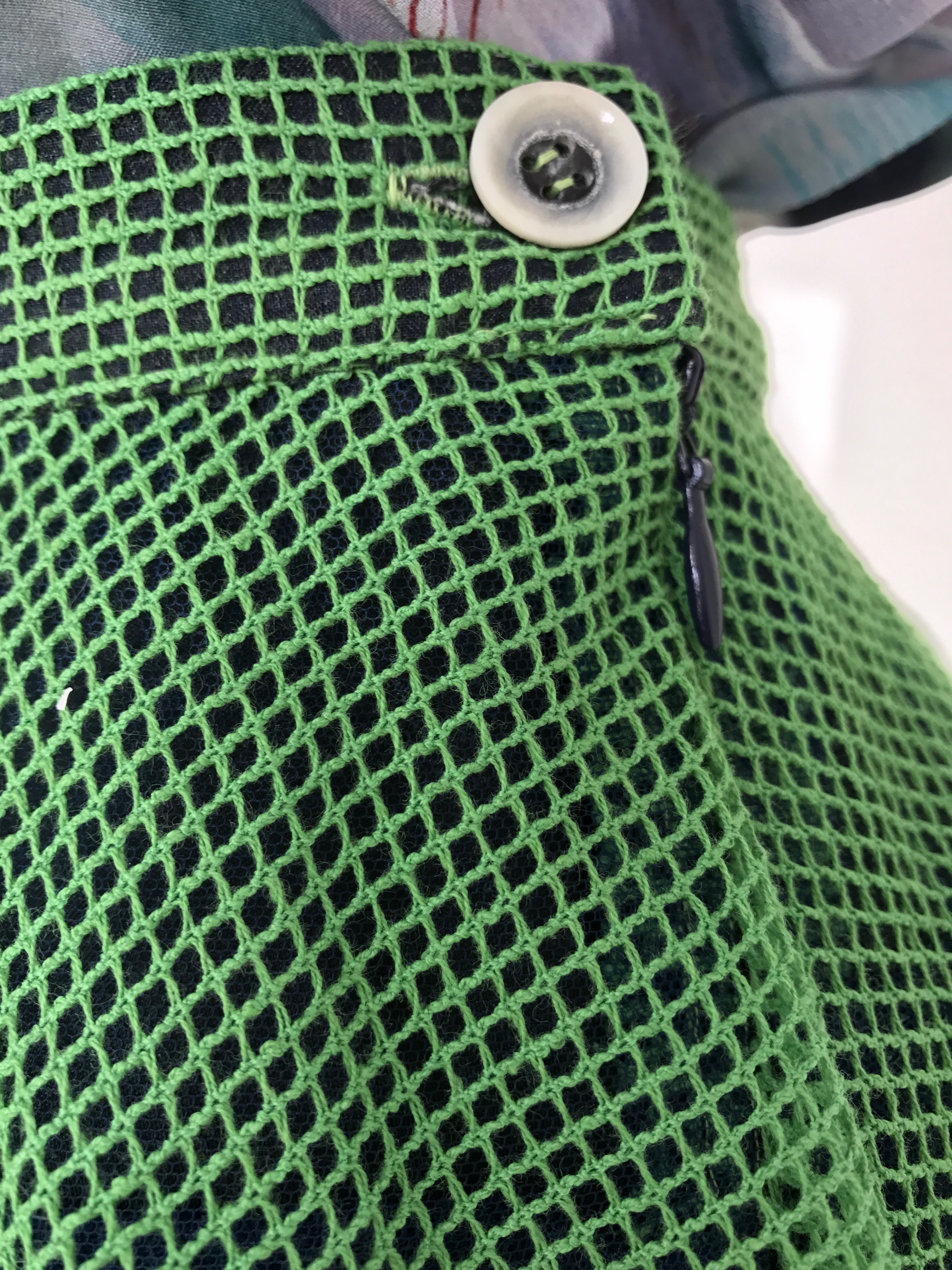 Polar Bears in Summer