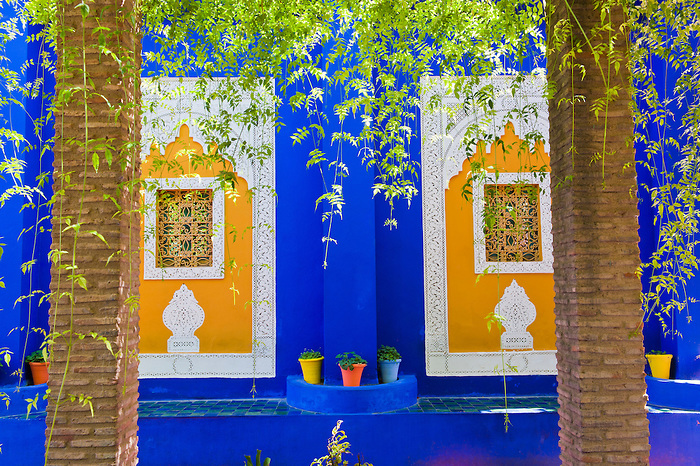 Photo of Majorelle Gardens, aka Gardens of Yves Saint-Laurent, Marrakech (Marrakesh), Morocco, North Africa, Africa