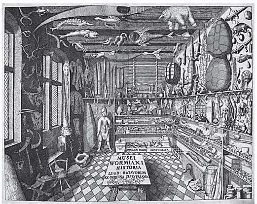 Wunderkammer