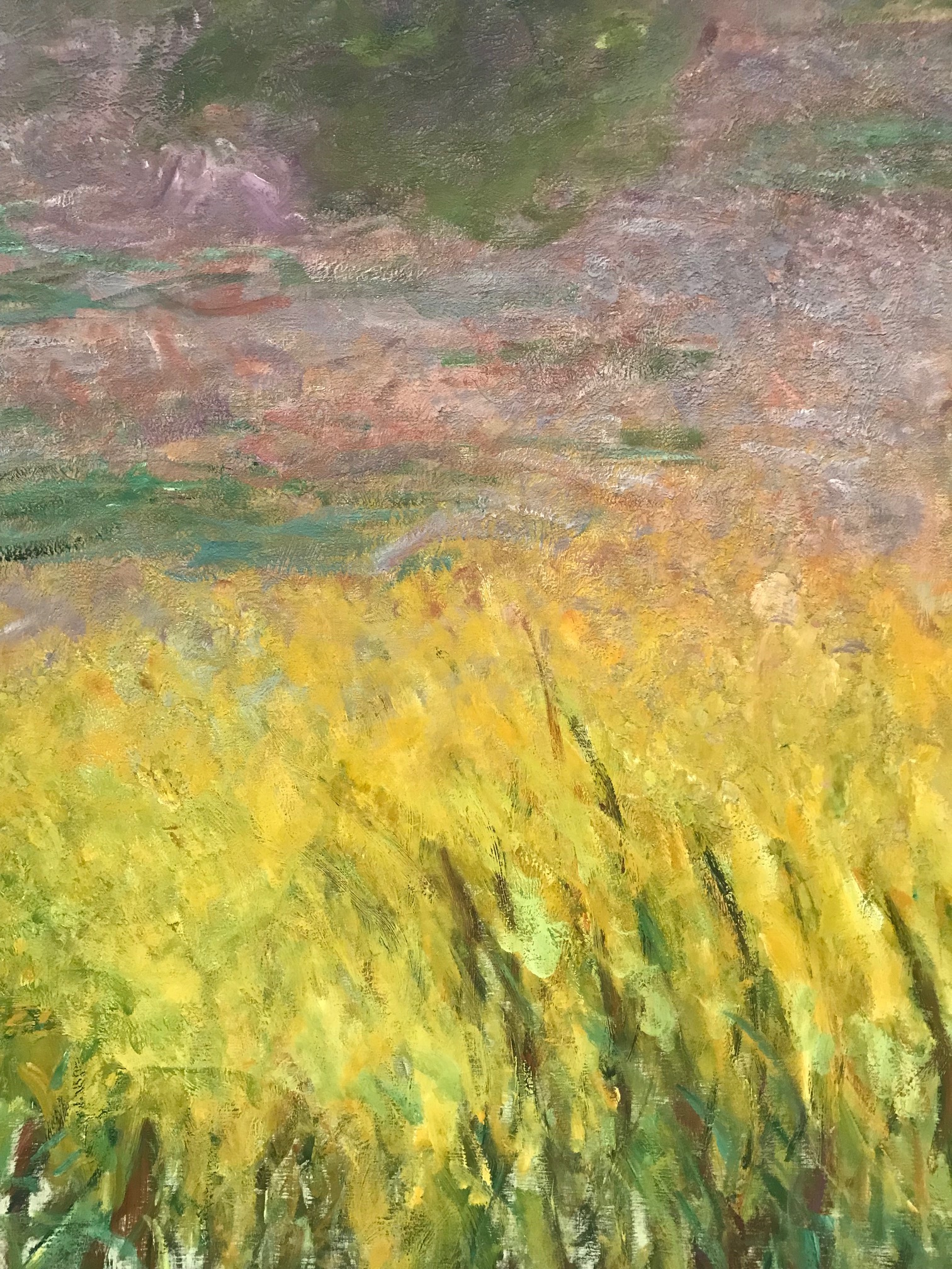 Seerosen Monet