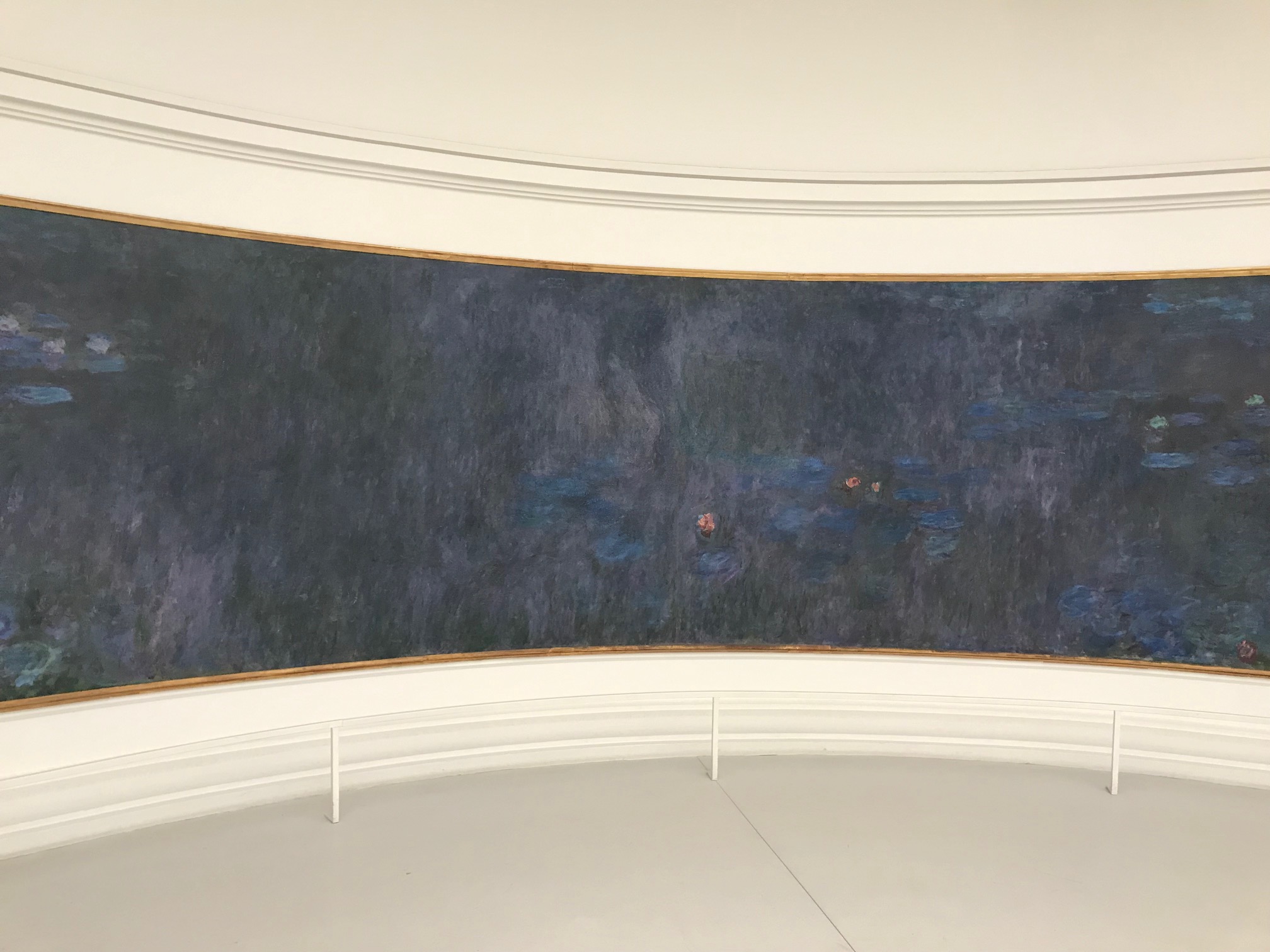 Seerosen Monet