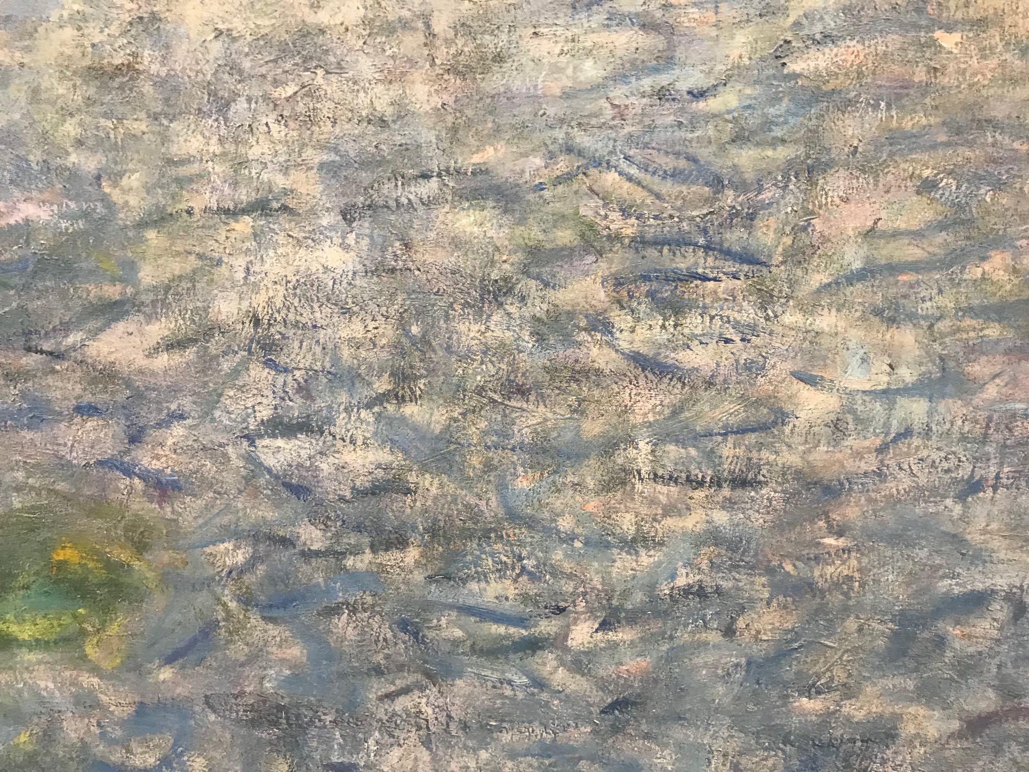 Seerosen Monet