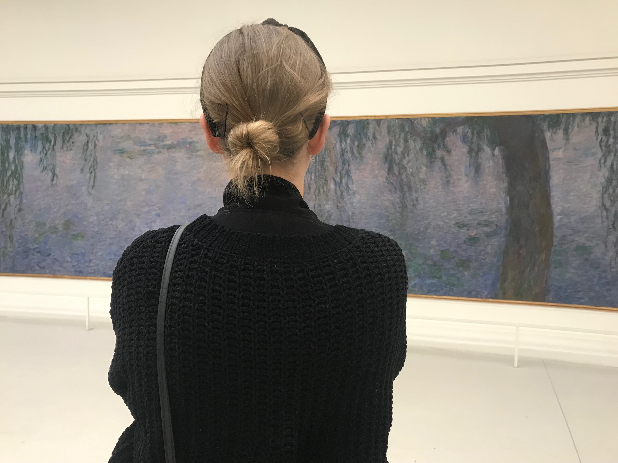 Monet Seerosen