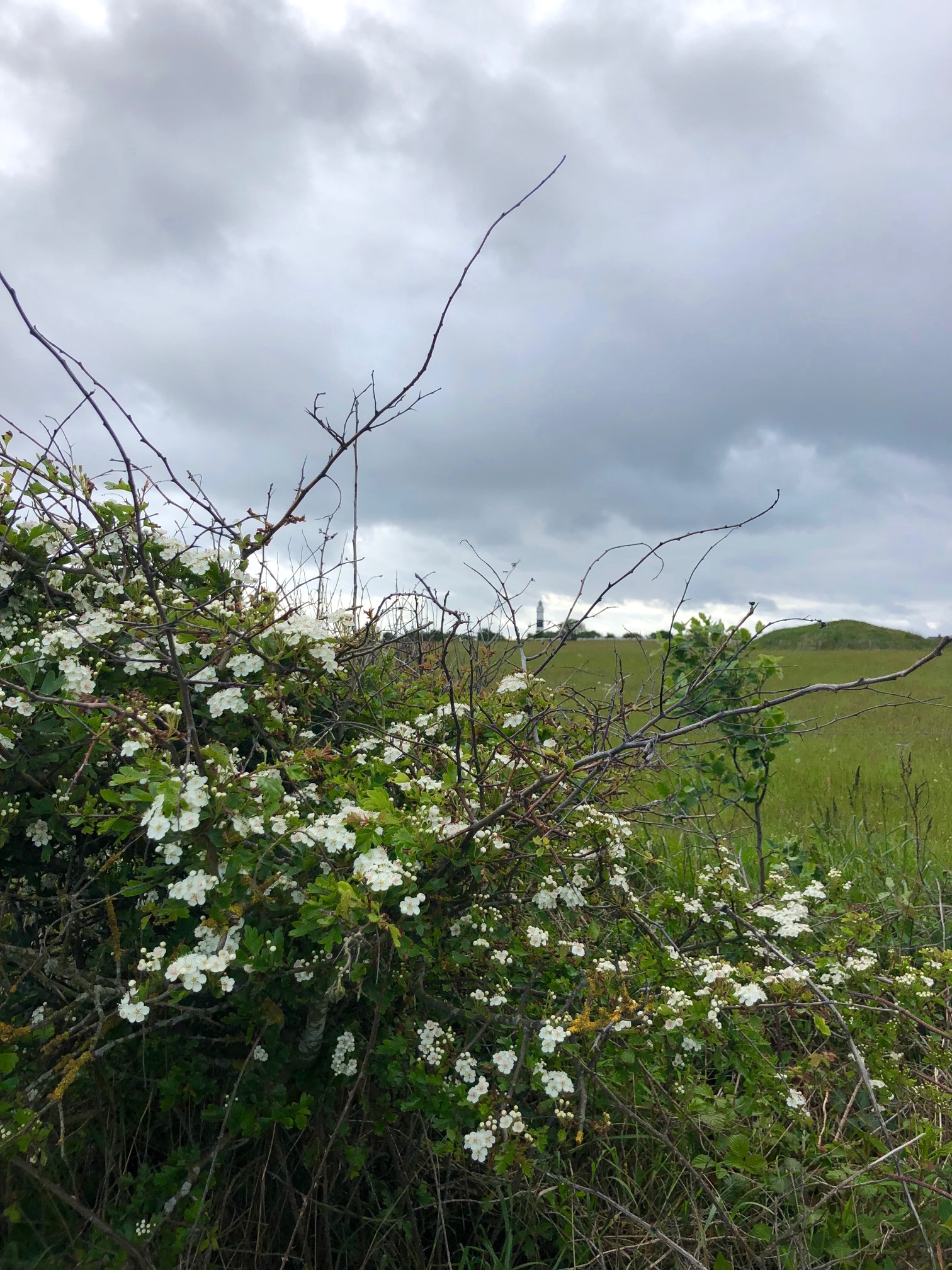 The uninhabitable Earth