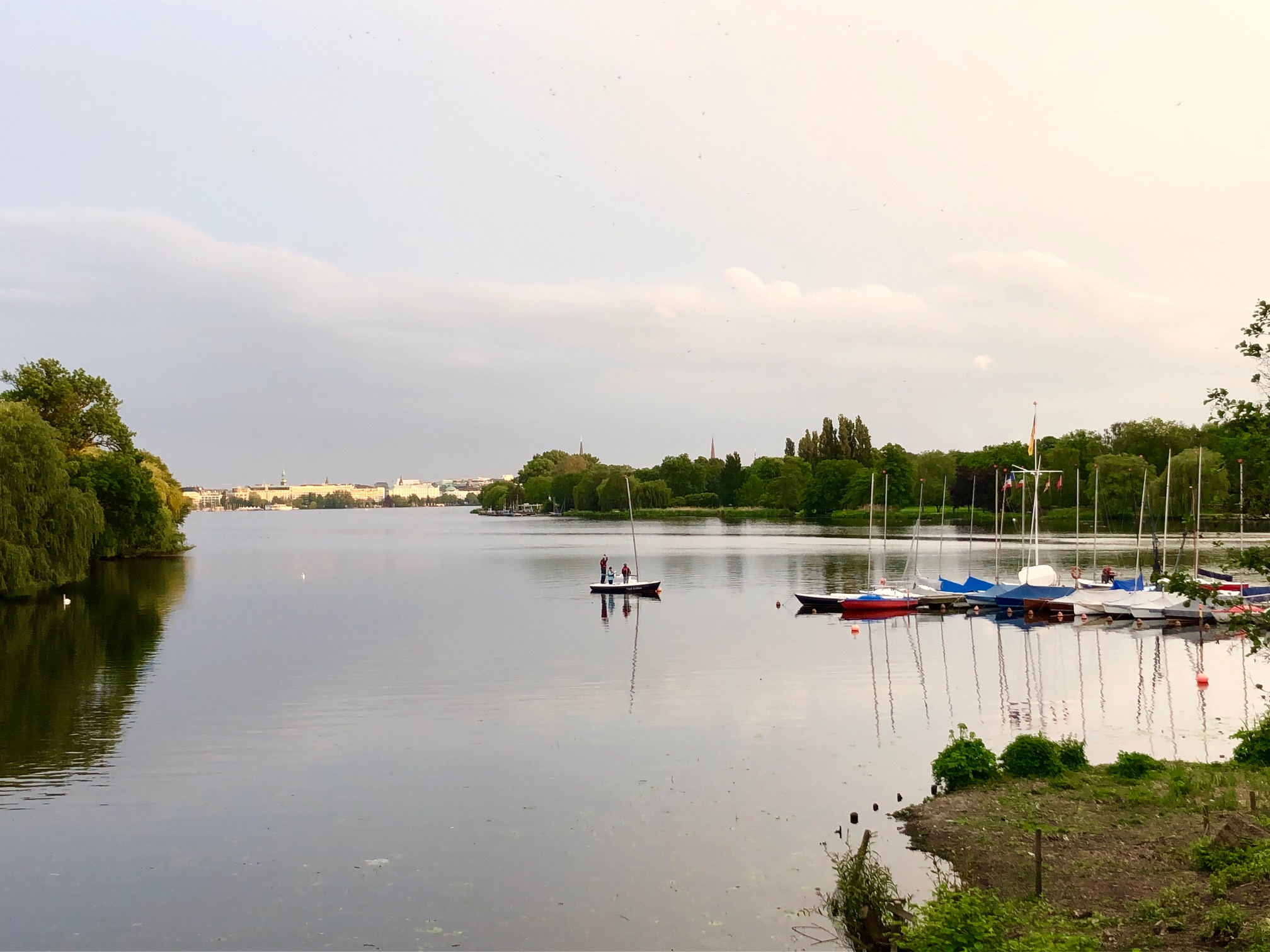 Alster Landschaft