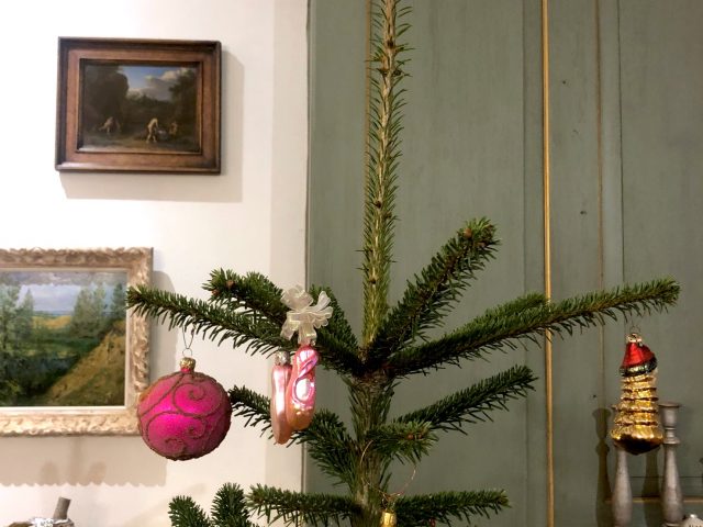 RENT A CHRISTMAS TREE