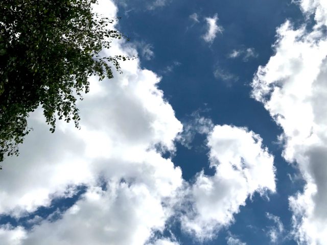 DORNRÖSCHEN IST AUFGEWACHT … 