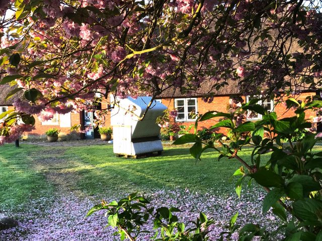 DAS MEER IST NOCH DA!