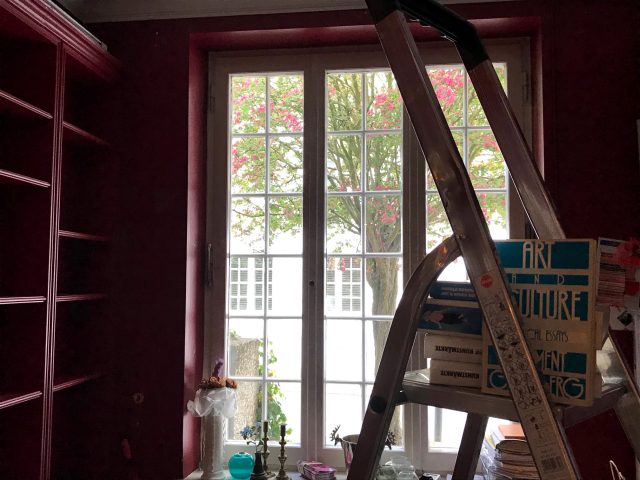 DIE VIELEN LEBEN …