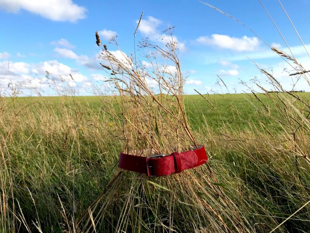 TIE A RED RIBBON … 