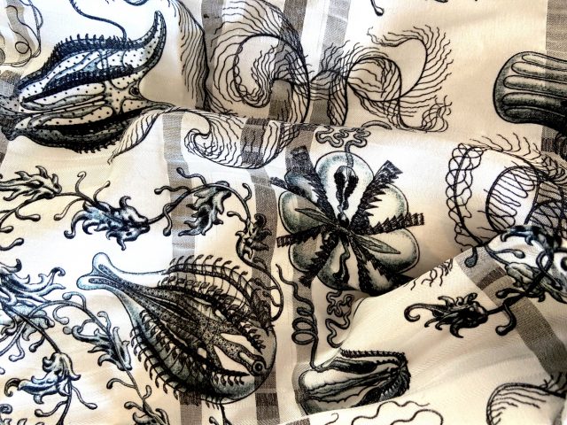 WHY ERNST HAECKEL STILL MATTERS!