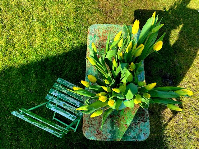 OSTERN TO GO