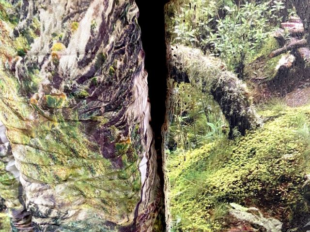 DIE RUWENZORI TAFELN