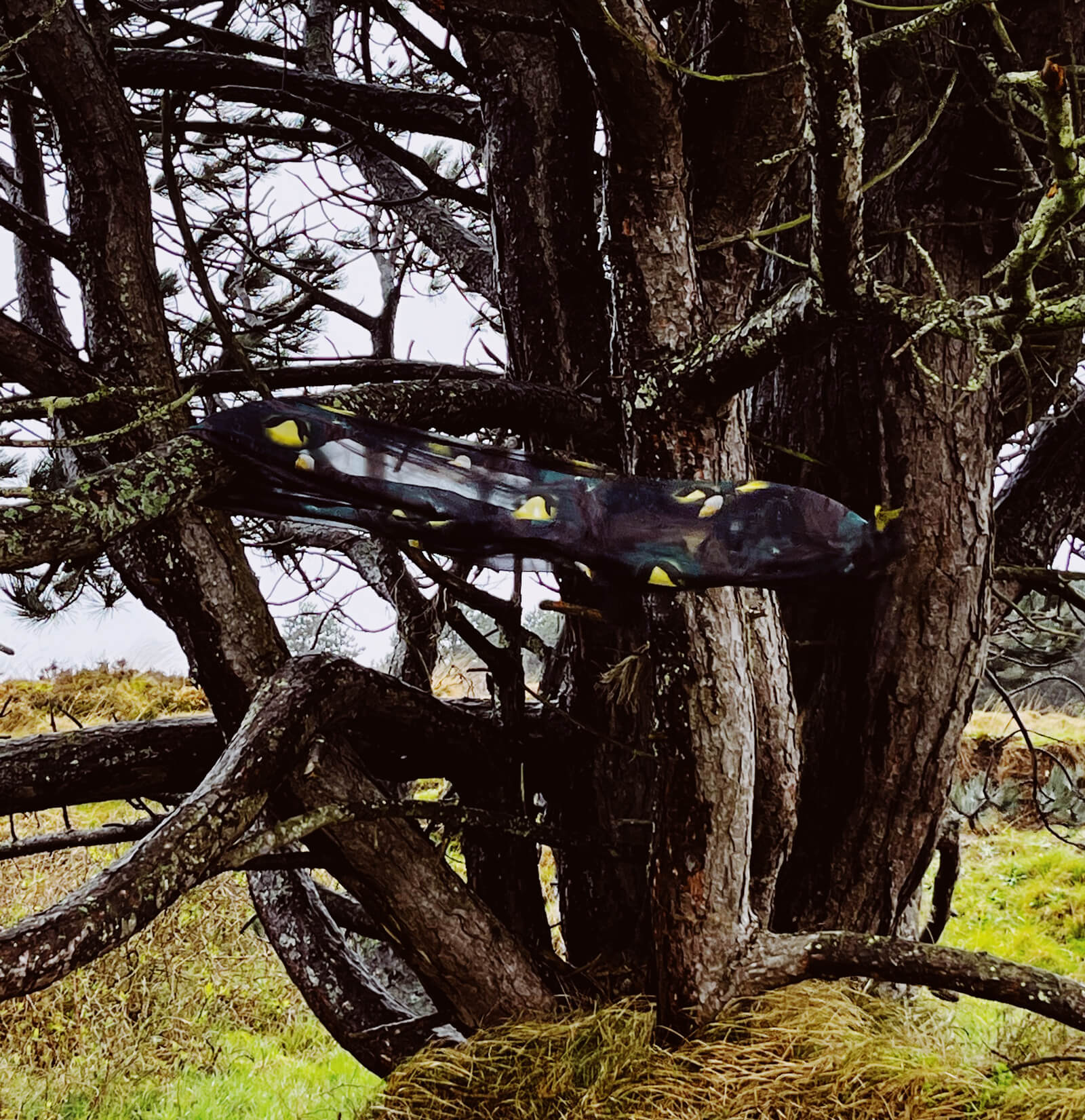 roma-e-toska-childhood-bluse-01