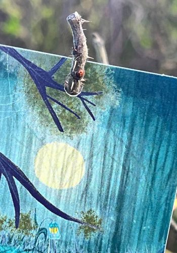 roma-e-toska-childhood-hangtag roma-e-toska-childhood-hangtag